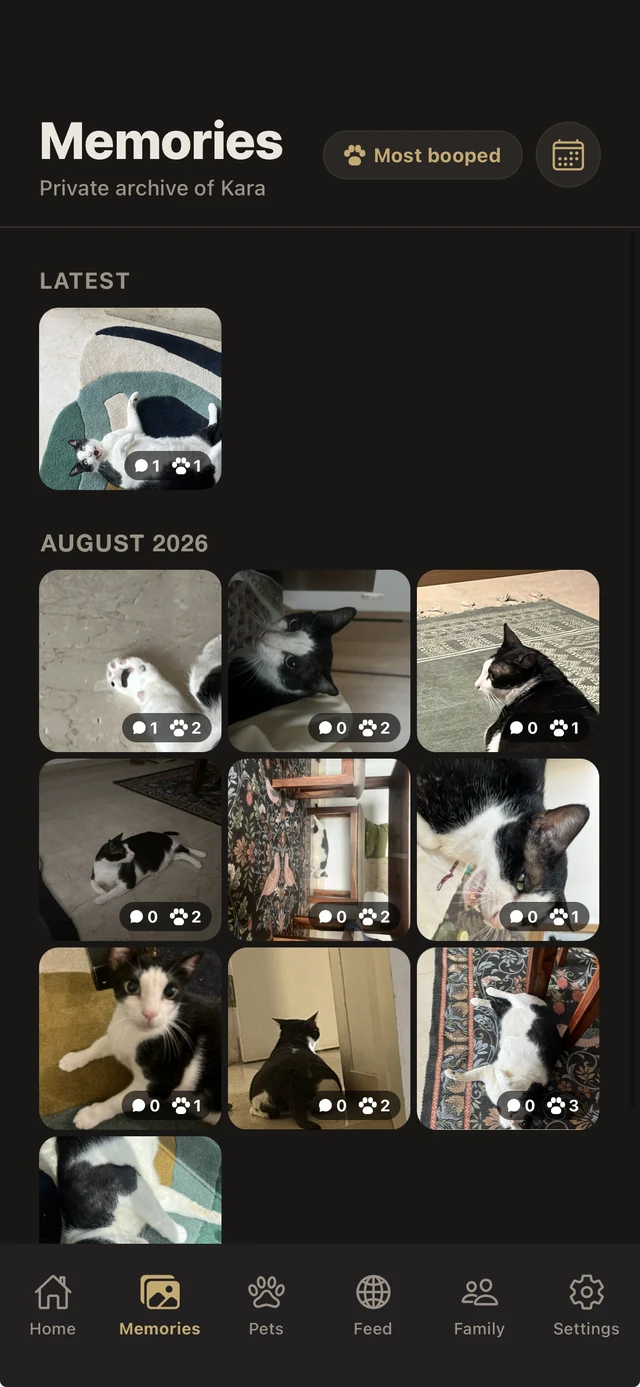 The PawPost Memories tab, showing a private archive of cat photos grouped by month