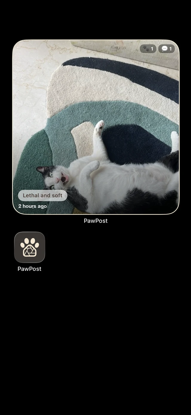A PawPost widget on a phone home screen, showing a cat lying on a rug with the caption 'Lethal and soft'